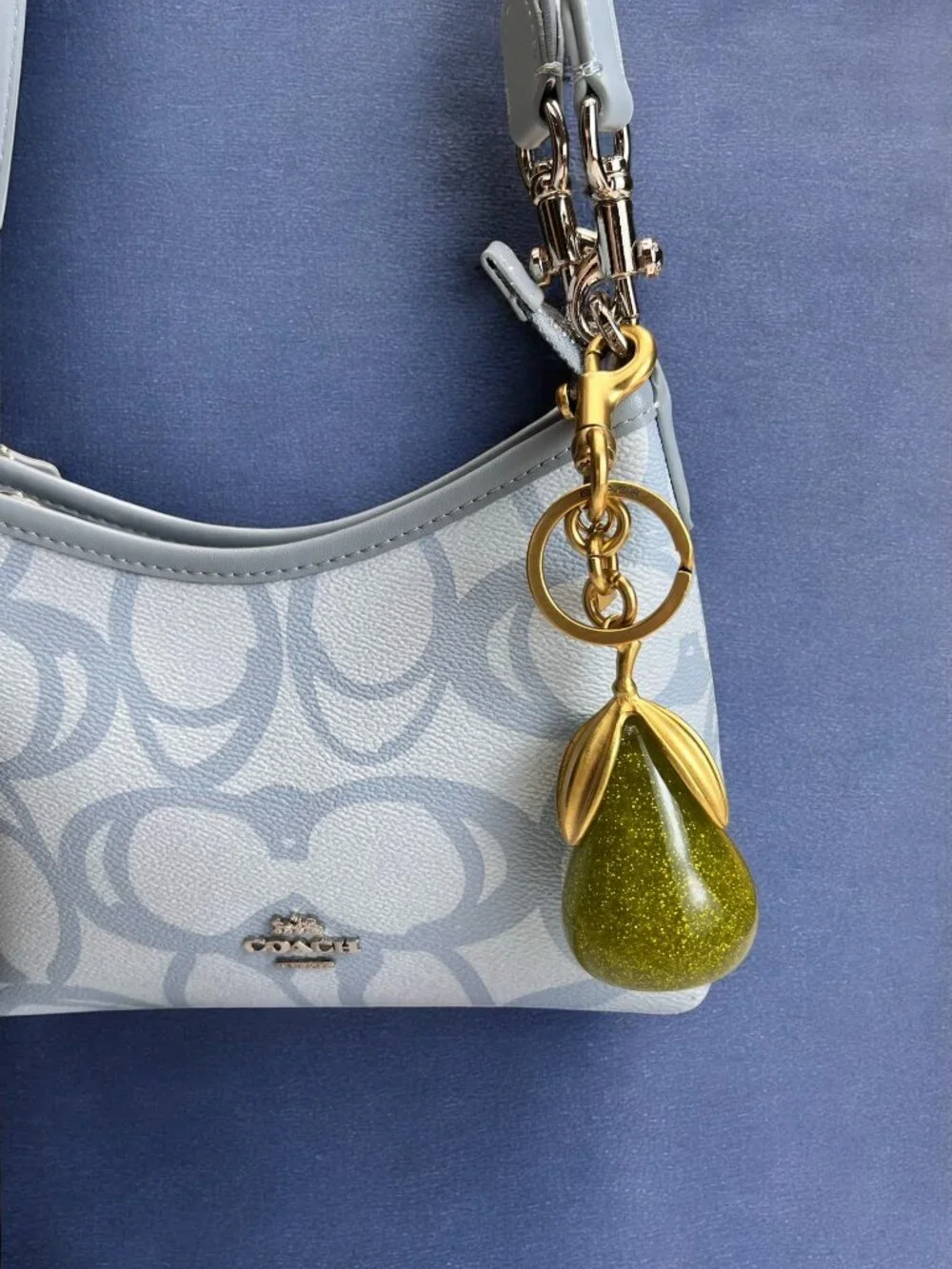 🌸Coach Gold and Green Glitter Key Holder